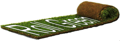 RollGreen - Il Prato Pronto